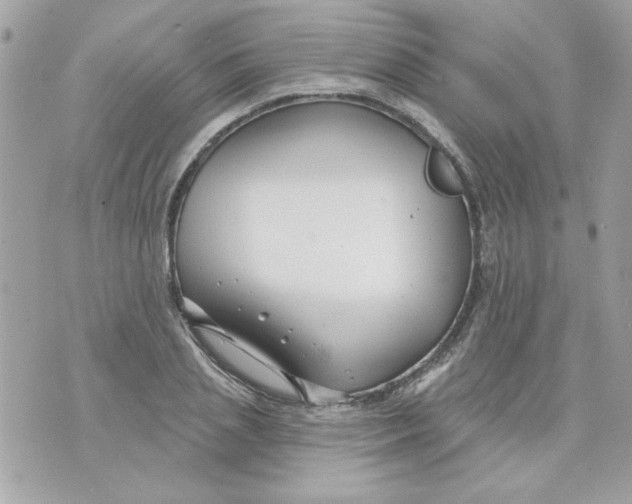 X0000070880837200607071946