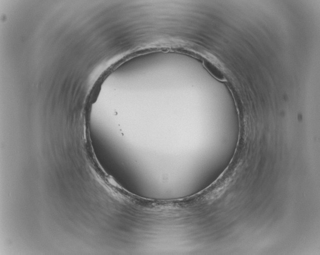 X0000070880838200607071946