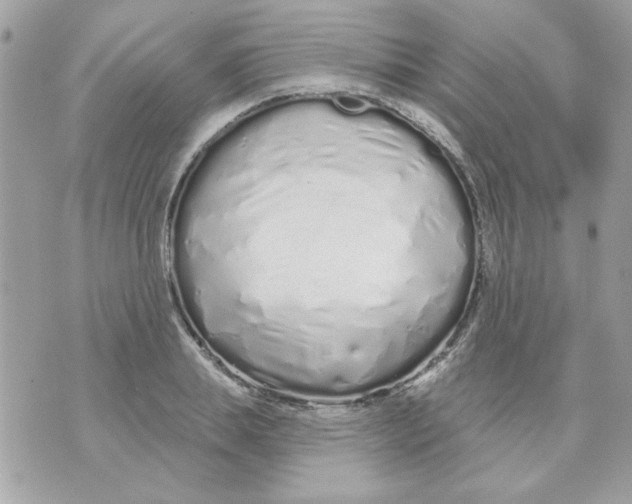 X0000070880839200607071946