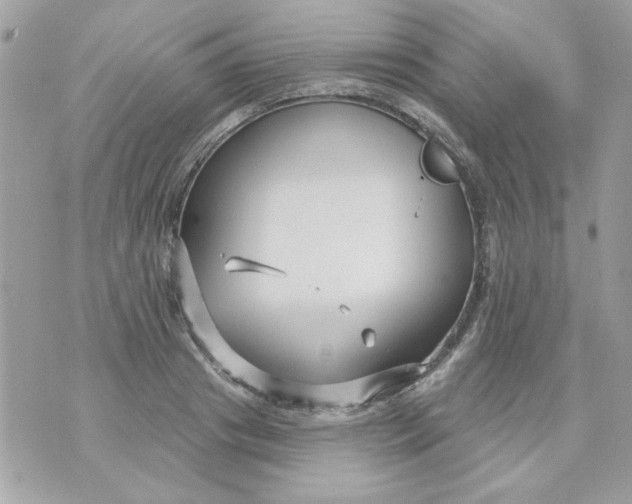 X0000070880841200607071946