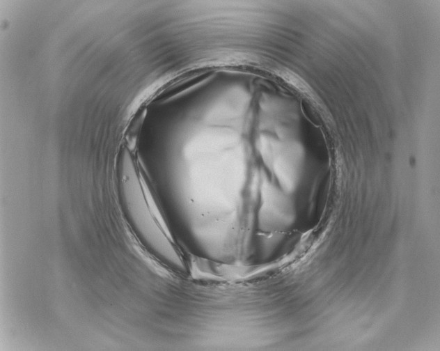 X0000070880842200607071946