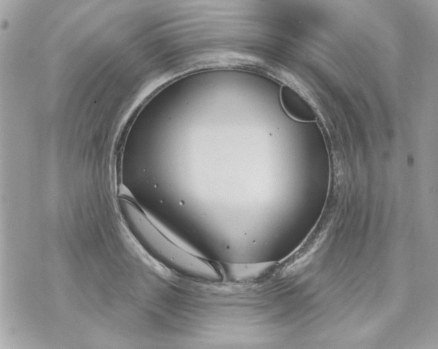 X0000070880843200607071946