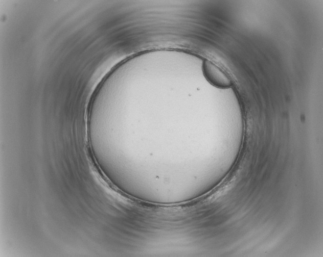 X0000070880844200607071946