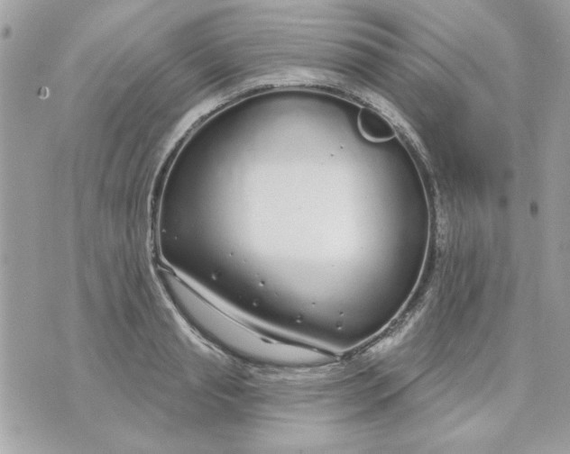 X0000070880845200607071946