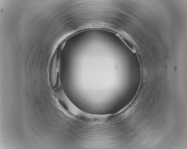 X0000070880846200607071946