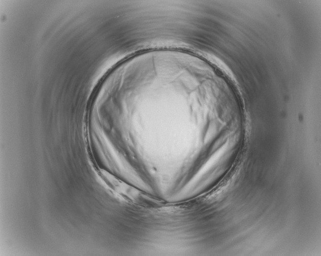 X0000070880847200607071946