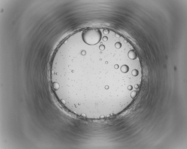 X0000070880848200607071946