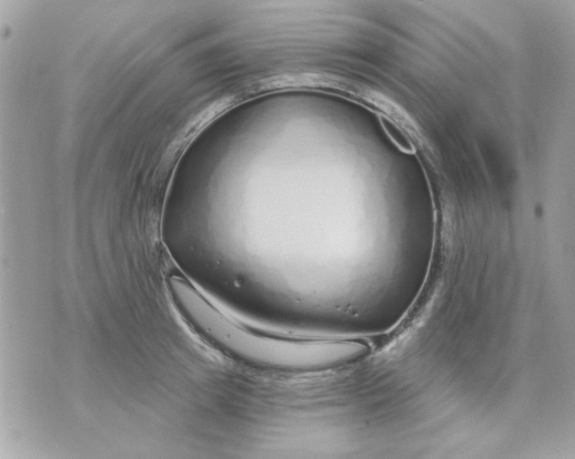 X0000070880849200607071946