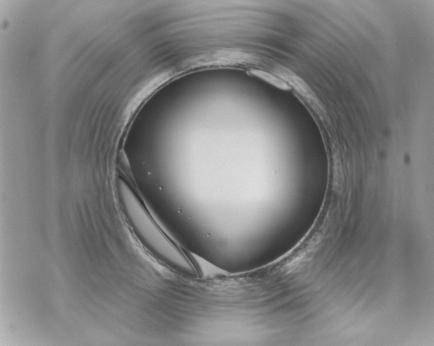 X0000070880850200607071946