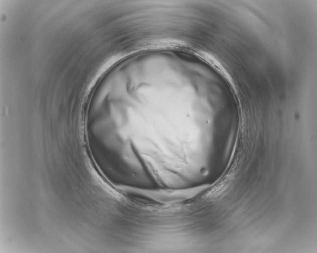 X0000070880851200607071946