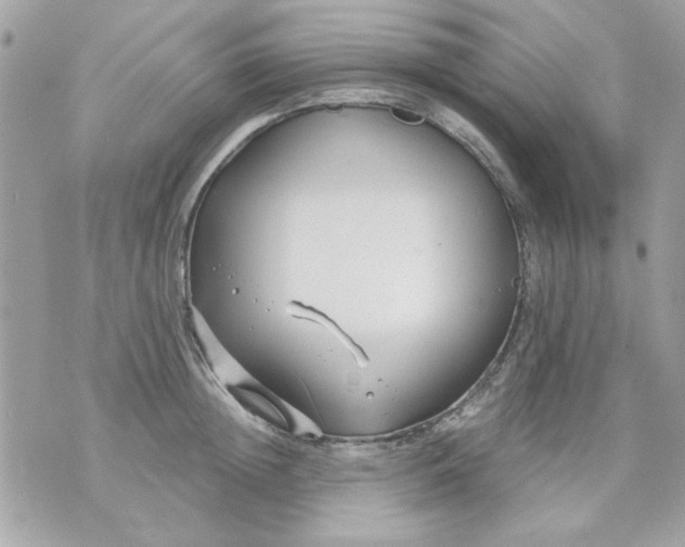 X0000070880852200607071946