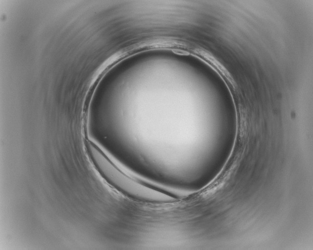 X0000070880853200607071946