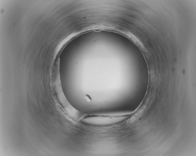 X0000070880854200607071946