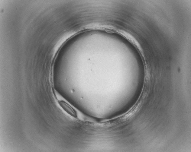 X0000070880855200607071946