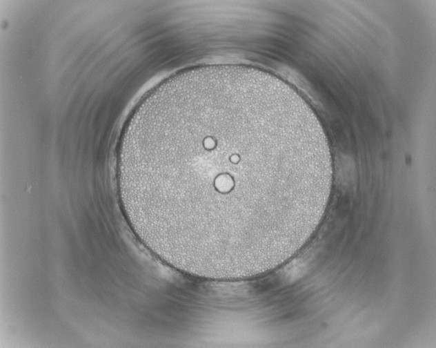 X0000070880856200607071946