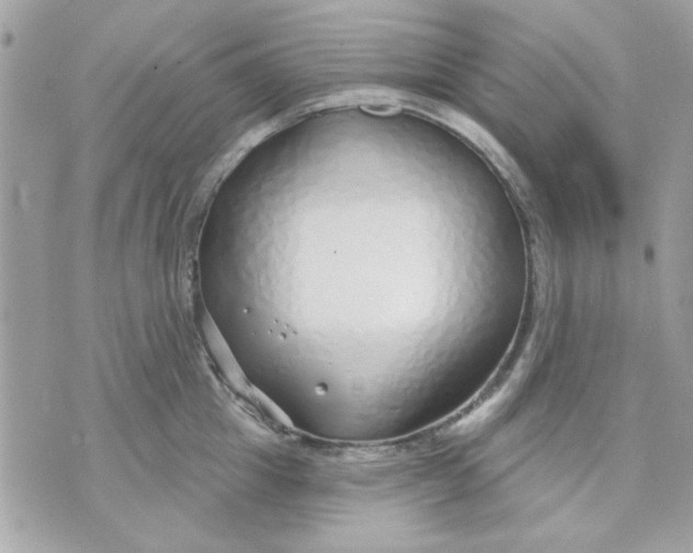 X0000070880857200607071946