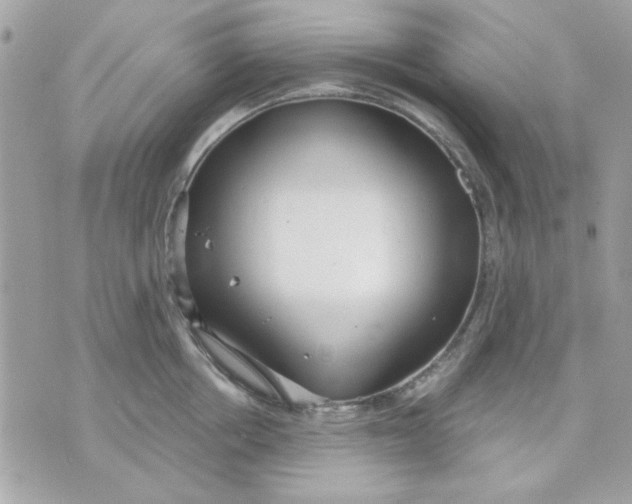 X0000070880858200607071946