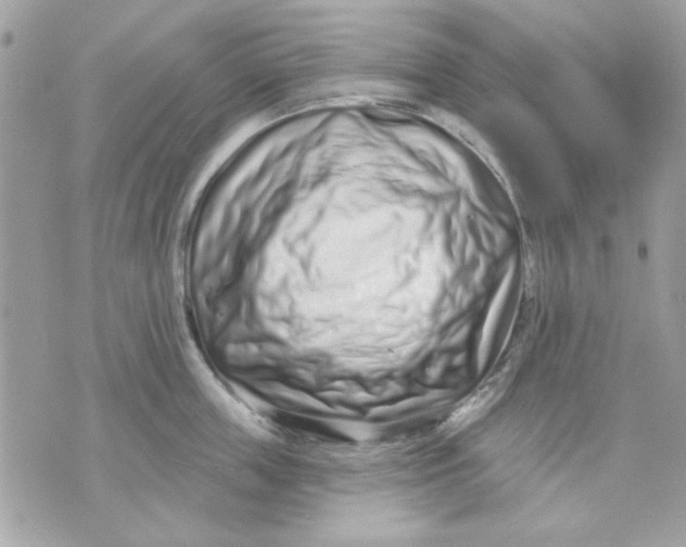 X0000070880859200607071946