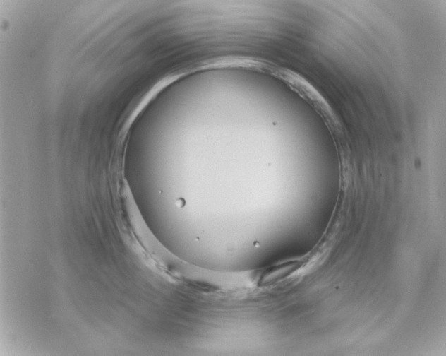 X0000070880860200607071946