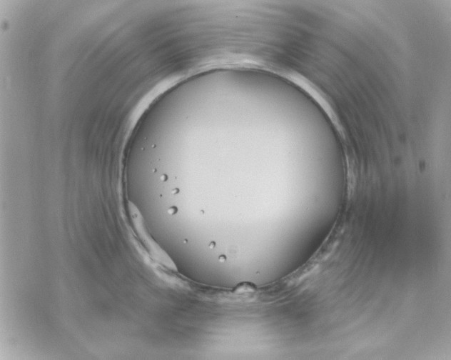 X0000070880861200607071946