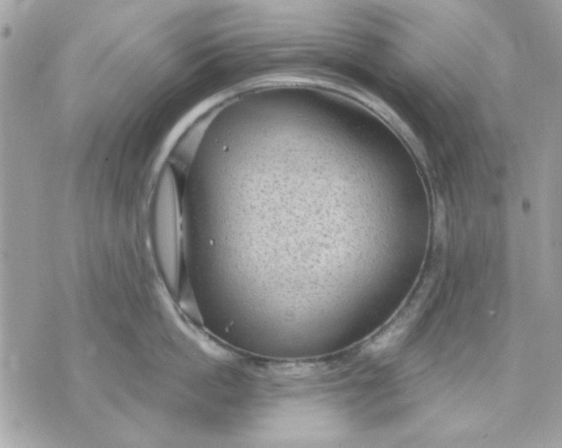 X0000070880862200607071946