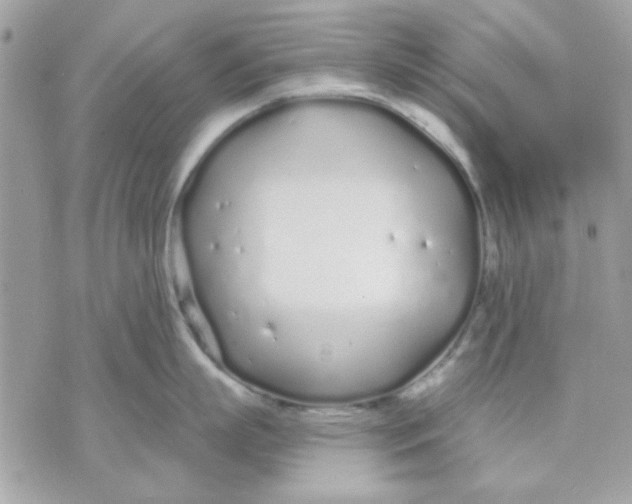 X0000070880863200607071946