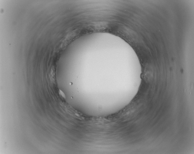 X0000070880866200607071945