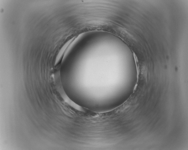 X0000070880868200607071945