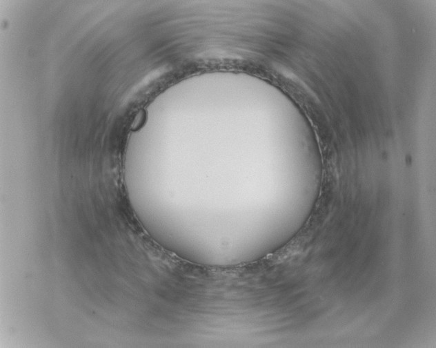 X0000070880870200607071945