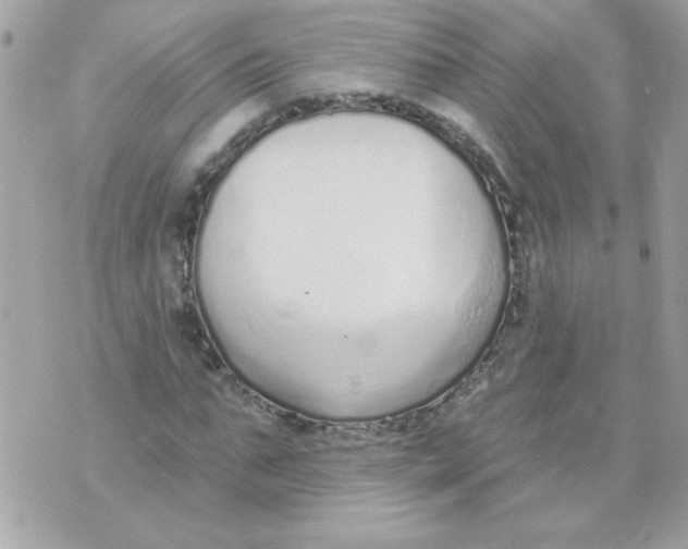 X0000070880871200607071945