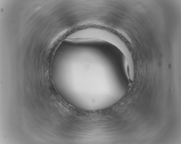 X0000070880872200607071945