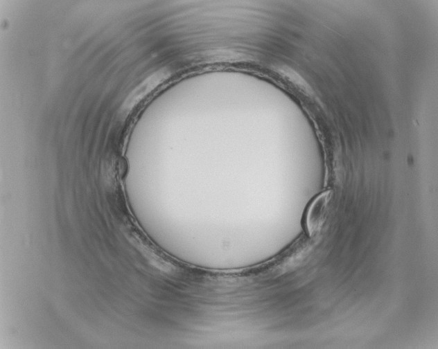 X0000070880873200607071945