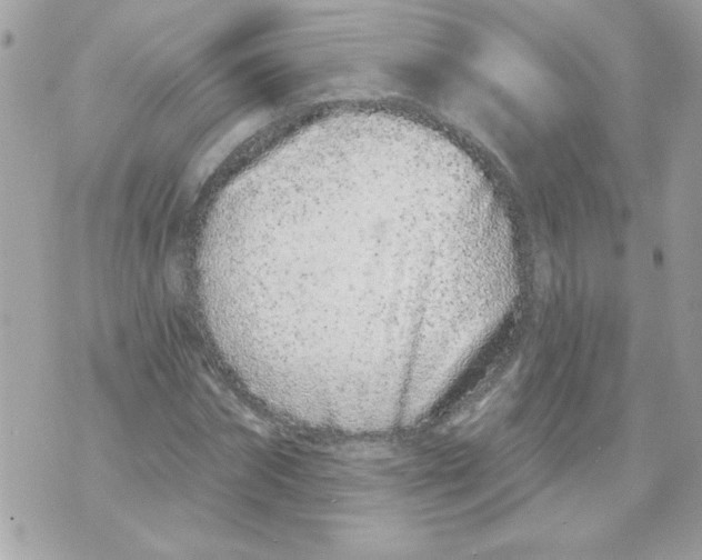 X0000070880874200607071945