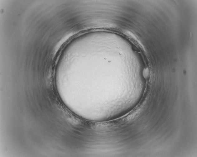 X0000070880875200607071945