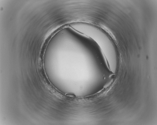 X0000070880876200607071945