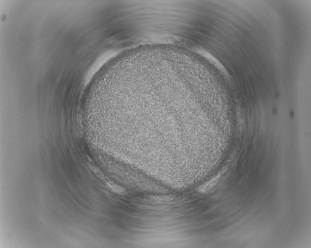 X0000070880878200607071945