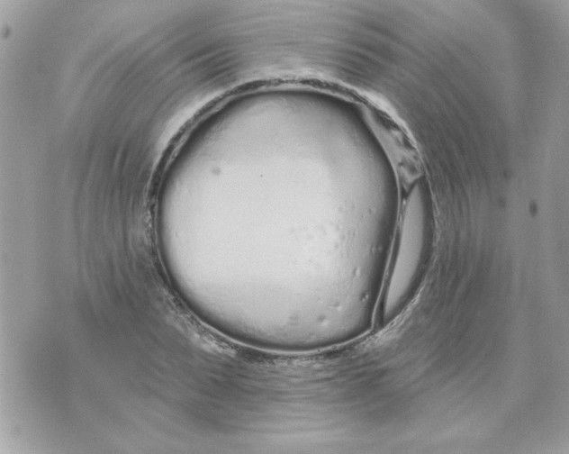 X0000070880879200607071945