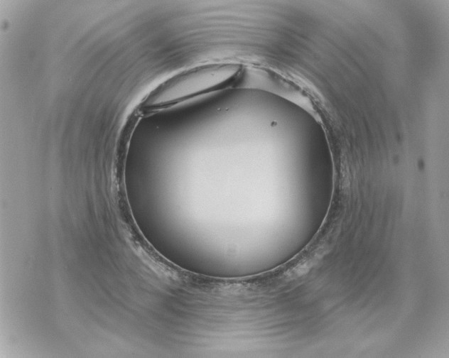 X0000070880880200607071945