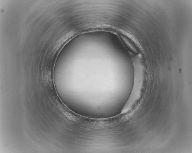 X0000070880881200607071945