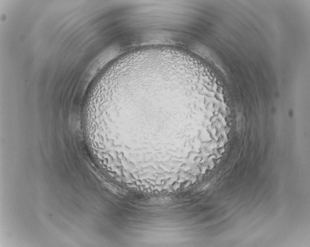 X0000070880882200607071945