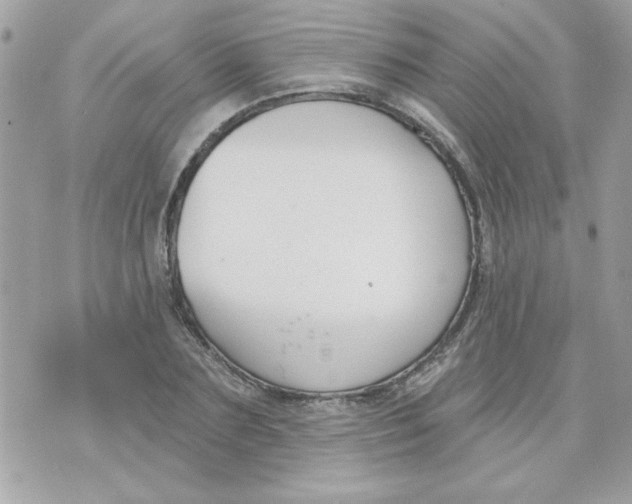 X0000070880883200607071945