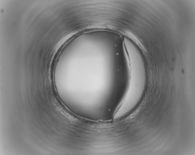 X0000070880884200607071945