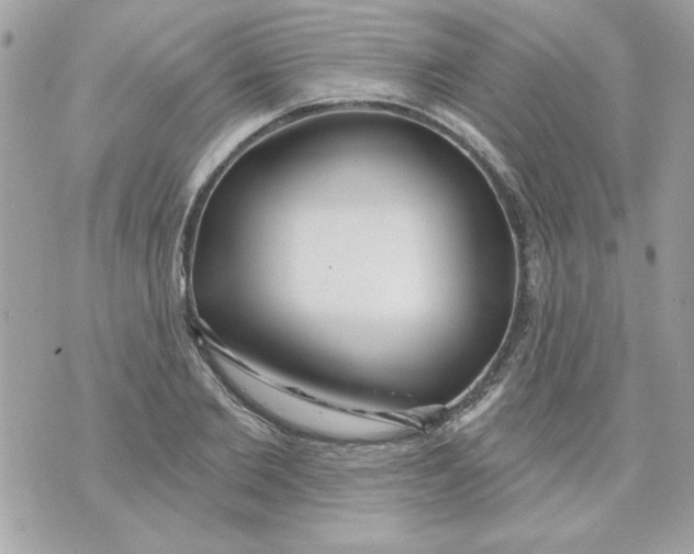 X0000070880885200607071945