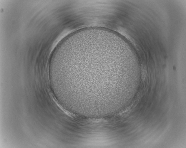 X0000070880886200607071945