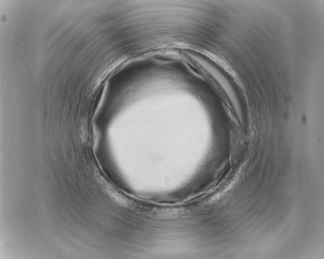 X0000070880889200607071945