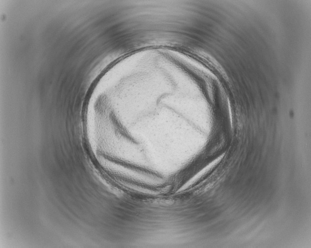 X0000070880890200607071945