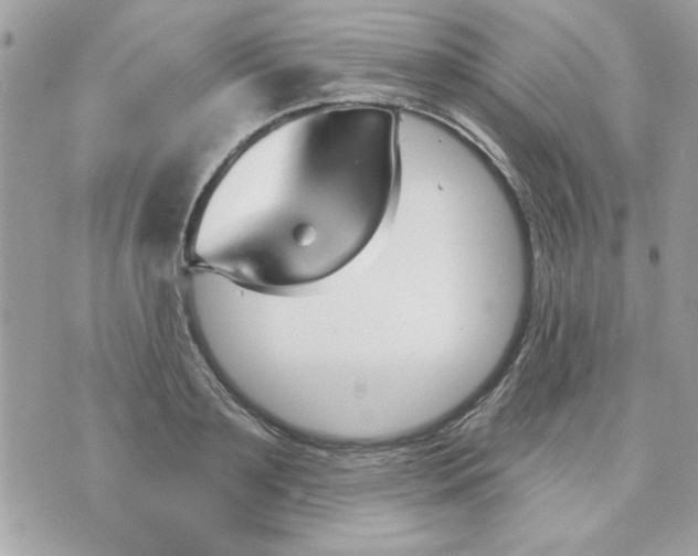 X0000070880891200607071945