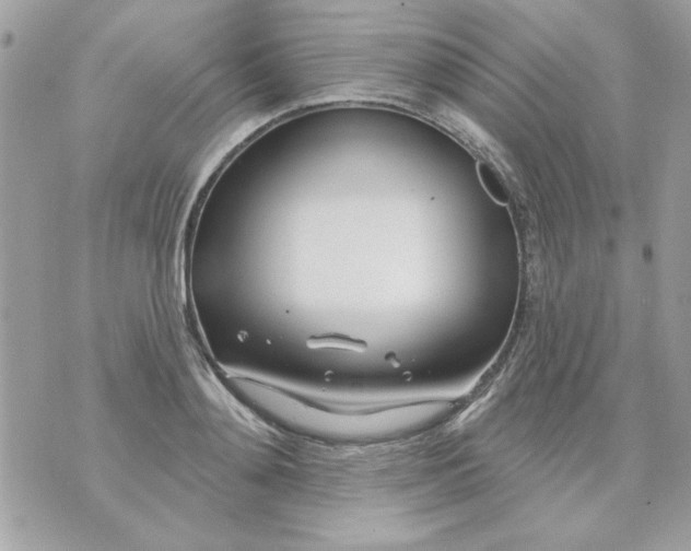 X0000070880892200607071945