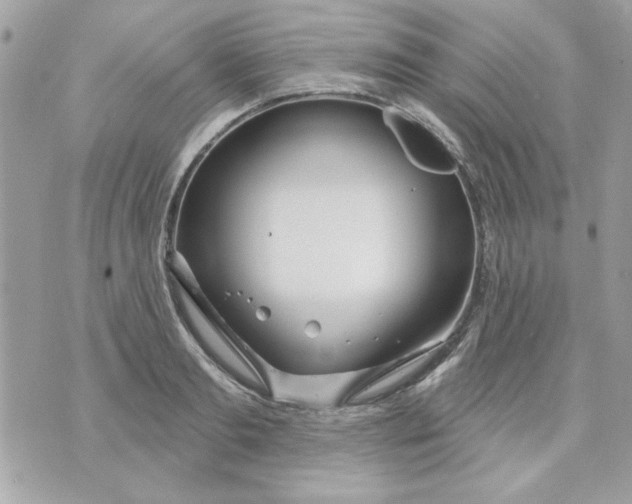 X0000070880893200607071945