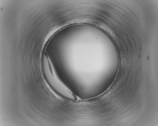 X0000070880894200607071945